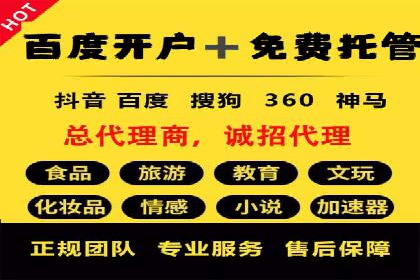 SEM托管代运营案例解析：ROI大幅提升的秘诀